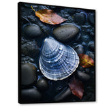 Grey Clam Dappled Depths - Clam Bedroom Wall Art