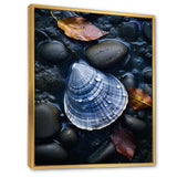 Grey Clam Dappled Depths - Clam Bedroom Wall Art