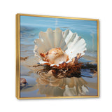 White Clam Ocean Whispers - Clam Wall Art Prints