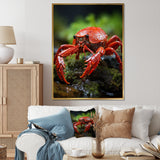 Crayfish Creek Dweller - Crayfish Wall Art Prints