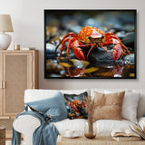 Crayfish River Jewels - Crayfish Large Canvas Wall Art