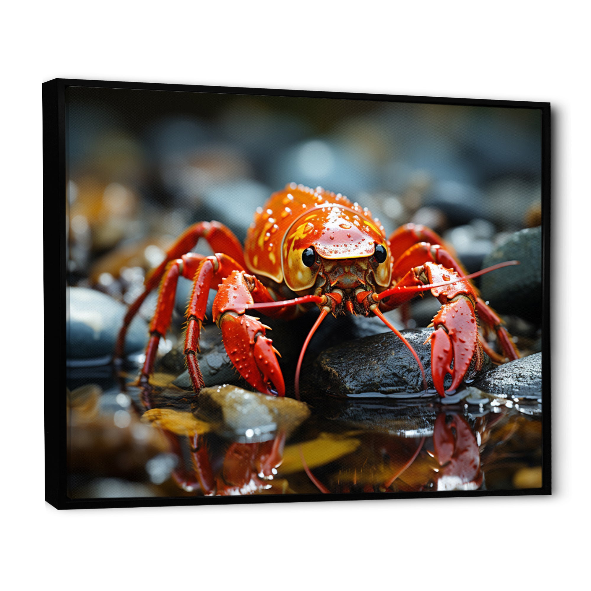 Crayfish River Jewels - Crayfish Large Canvas Wall Art