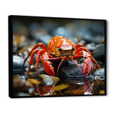 Crayfish River Jewels - Crayfish Large Canvas Wall Art