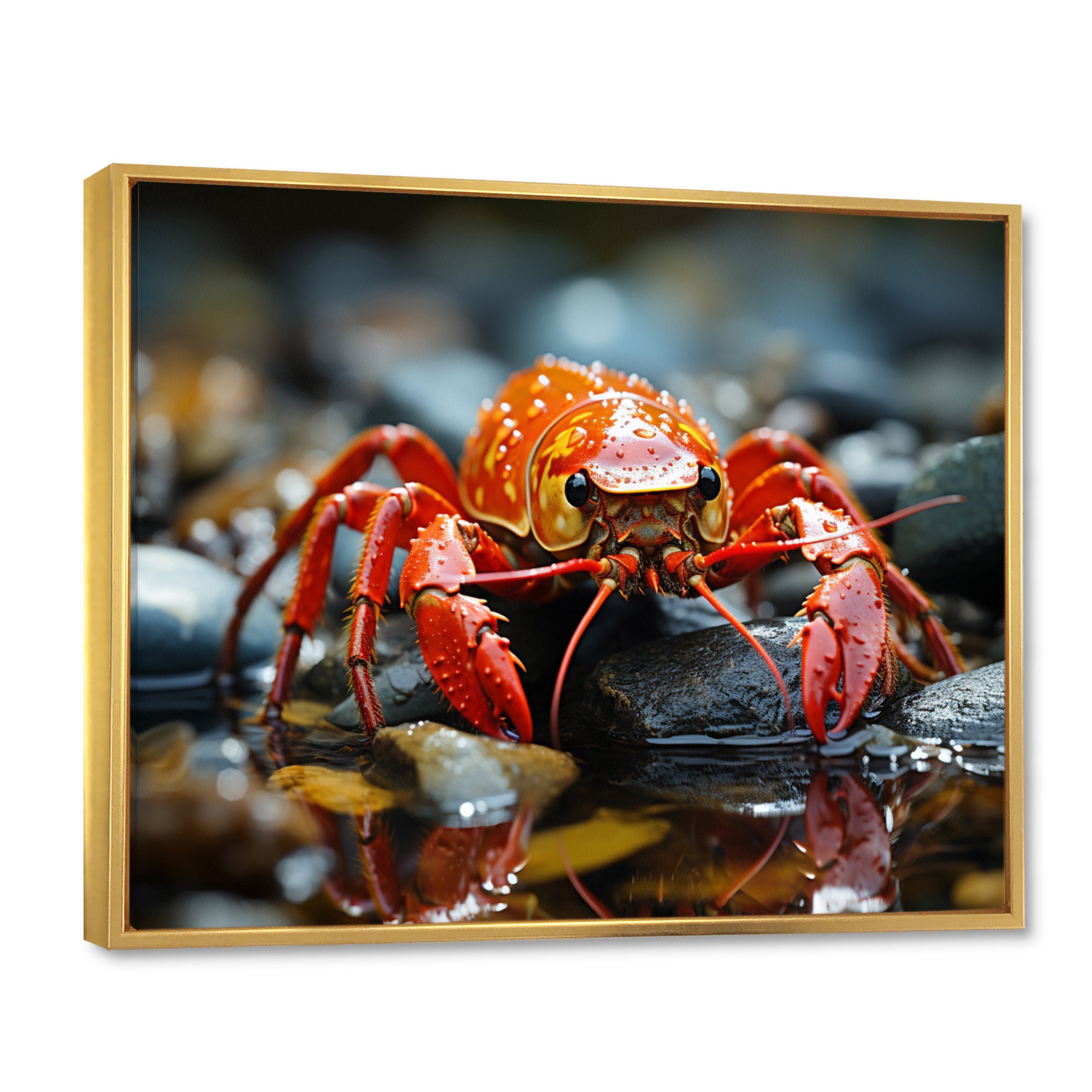 Crayfish River Jewels - Crayfish Large Canvas Wall Art