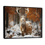 Deer Graceful Deer - Deer Wall Art Prints