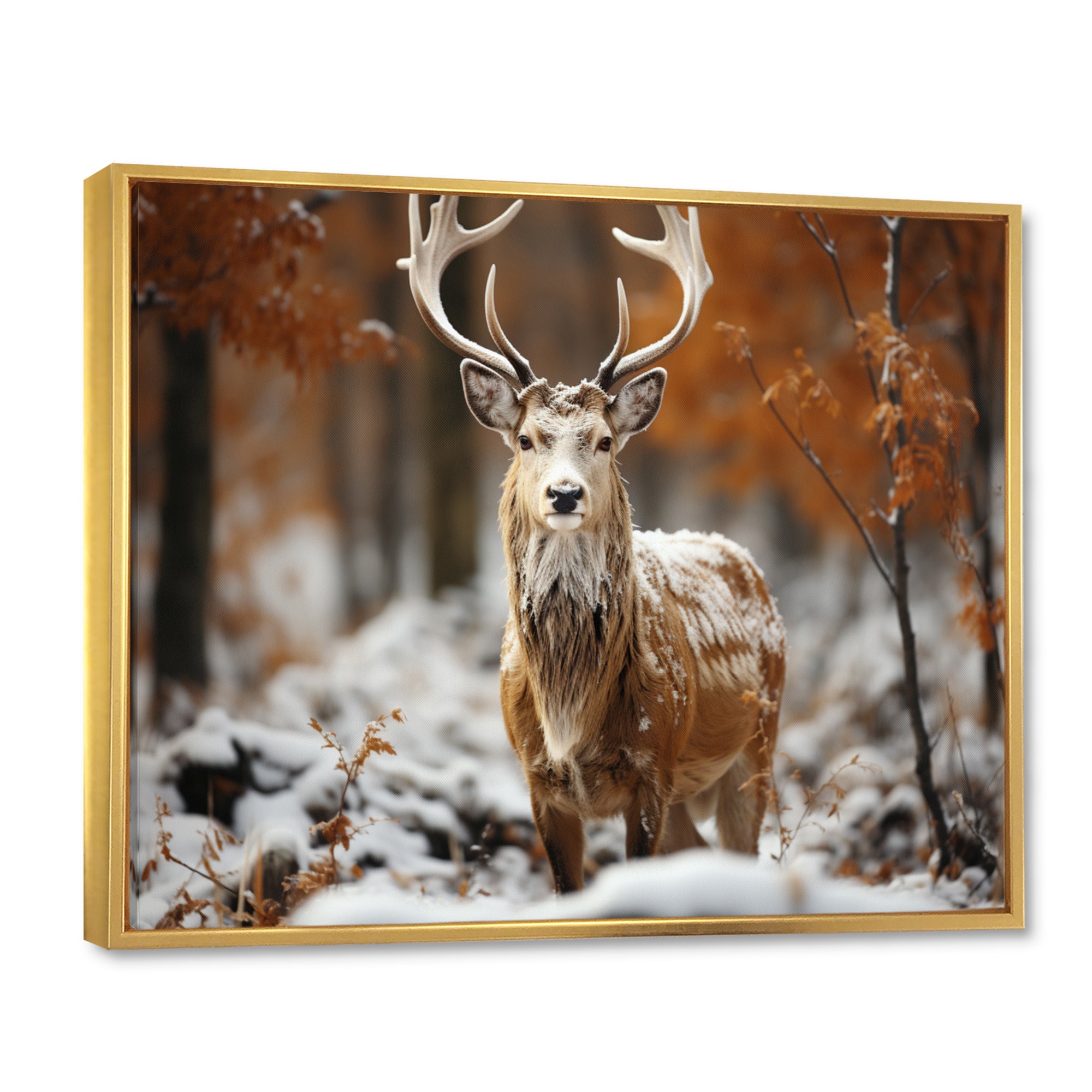 Deer Graceful Deer - Deer Wall Art Prints
