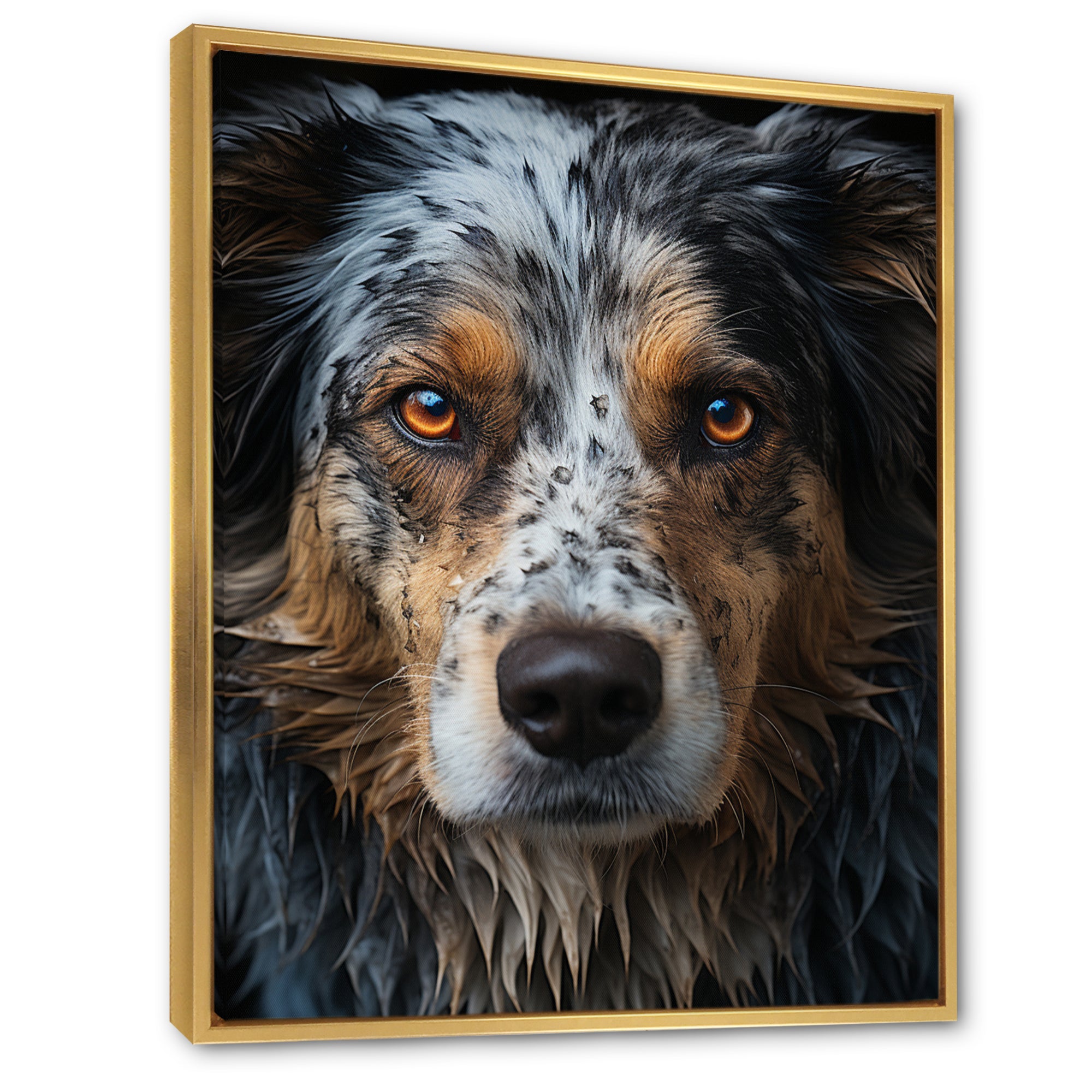 Dog Animal - Dog Living Room Wall Art