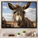 Grey Donkey Portrait - Donkey Canvas Wall Art