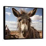 Grey Donkey Portrait - Donkey Canvas Wall Art
