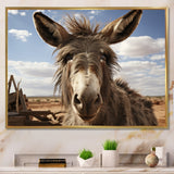 Grey Donkey Portrait - Donkey Canvas Wall Art