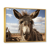 Grey Donkey Portrait - Donkey Canvas Wall Art