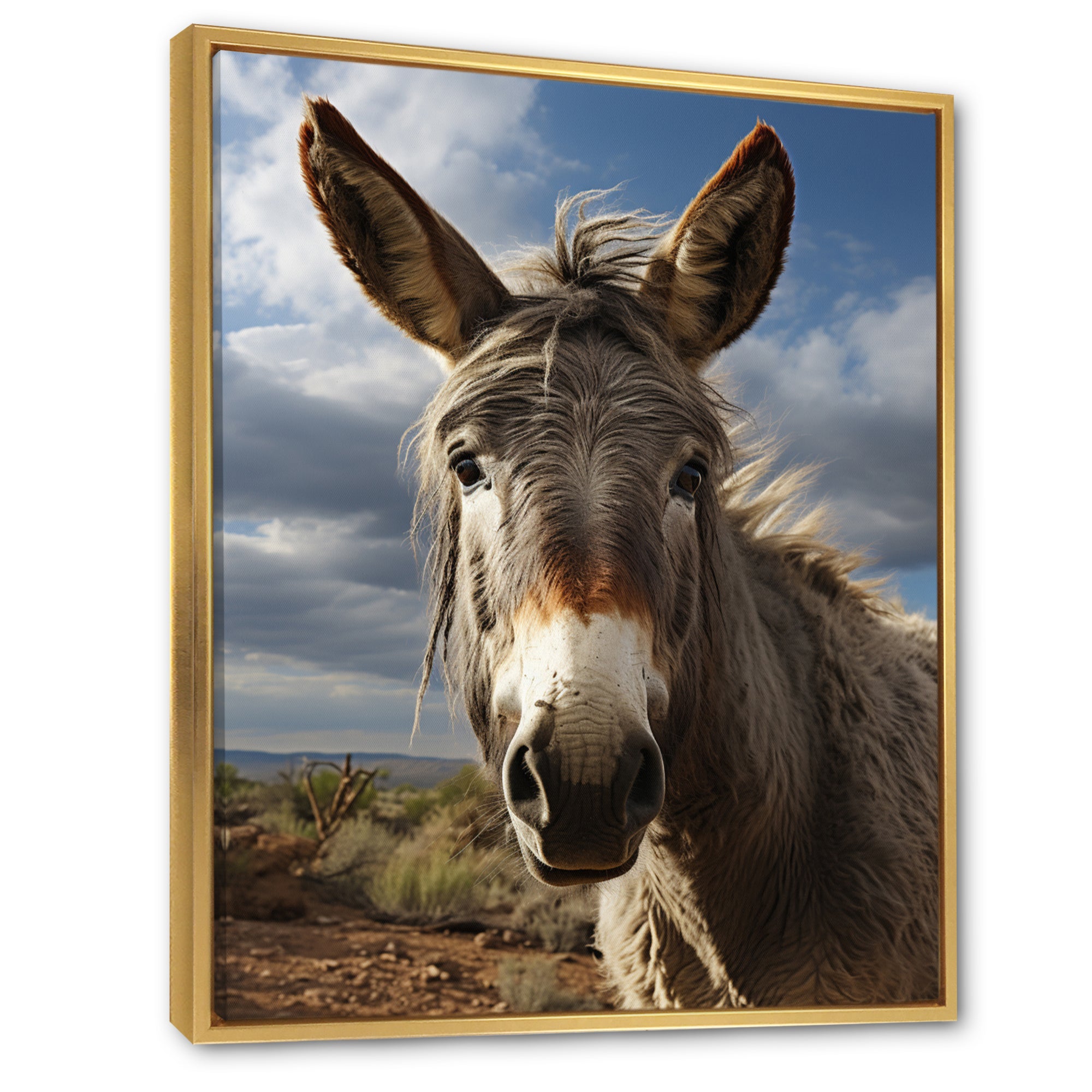 Grey Donkey Portrait Vibrant - Donkey Canvas Wall Art