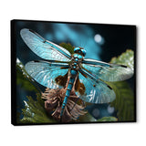 Teal Dragonfly Airborne Jewel - Dragonfly Canvas Wall Art