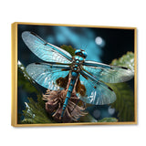 Teal Dragonfly Airborne Jewel - Dragonfly Canvas Wall Art