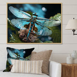 Teal Dragonfly Airborne Jewel - Dragonfly Canvas Wall Art