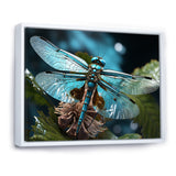 Teal Dragonfly Airborne Jewel - Dragonfly Canvas Wall Art