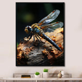 Brown Dragonfly Portrait Vibrant - Dragonfly Home Decor Art