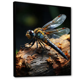 Brown Dragonfly Portrait Vibrant - Dragonfly Home Decor Art