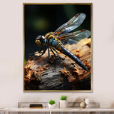 Brown Dragonfly Portrait Vibrant - Dragonfly Home Decor Art