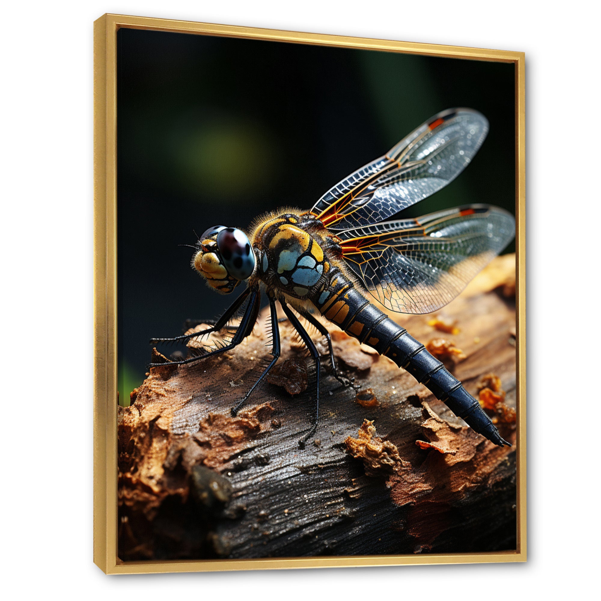 Brown Dragonfly Portrait Vibrant - Dragonfly Home Decor Art