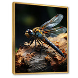 Brown Dragonfly Portrait Vibrant - Dragonfly Home Decor Art