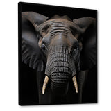 Elephant Portrait In Black And White - Elephant Wall Art Prints
