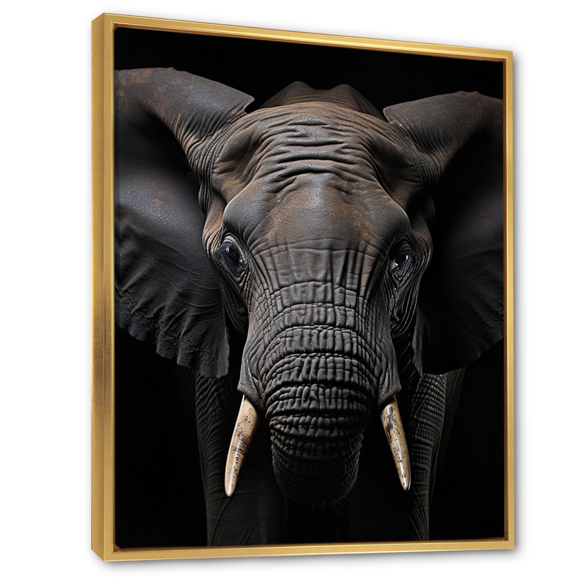 Elephant Portrait In Black And White - Elephant Wall Art Prints