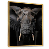 Elephant Portrait In Black And White - Elephant Wall Art Prints