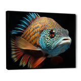 Fish Portrait Photo - Teal Fish Wall Art