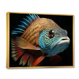 Fish Portrait Photo - Teal Fish Wall Art