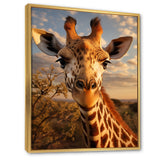 Giraffe Portrait Vibrant - Giraffe Canvas Wall Art