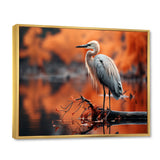 Grey Red Heron Solitude - Heron Wall Decor