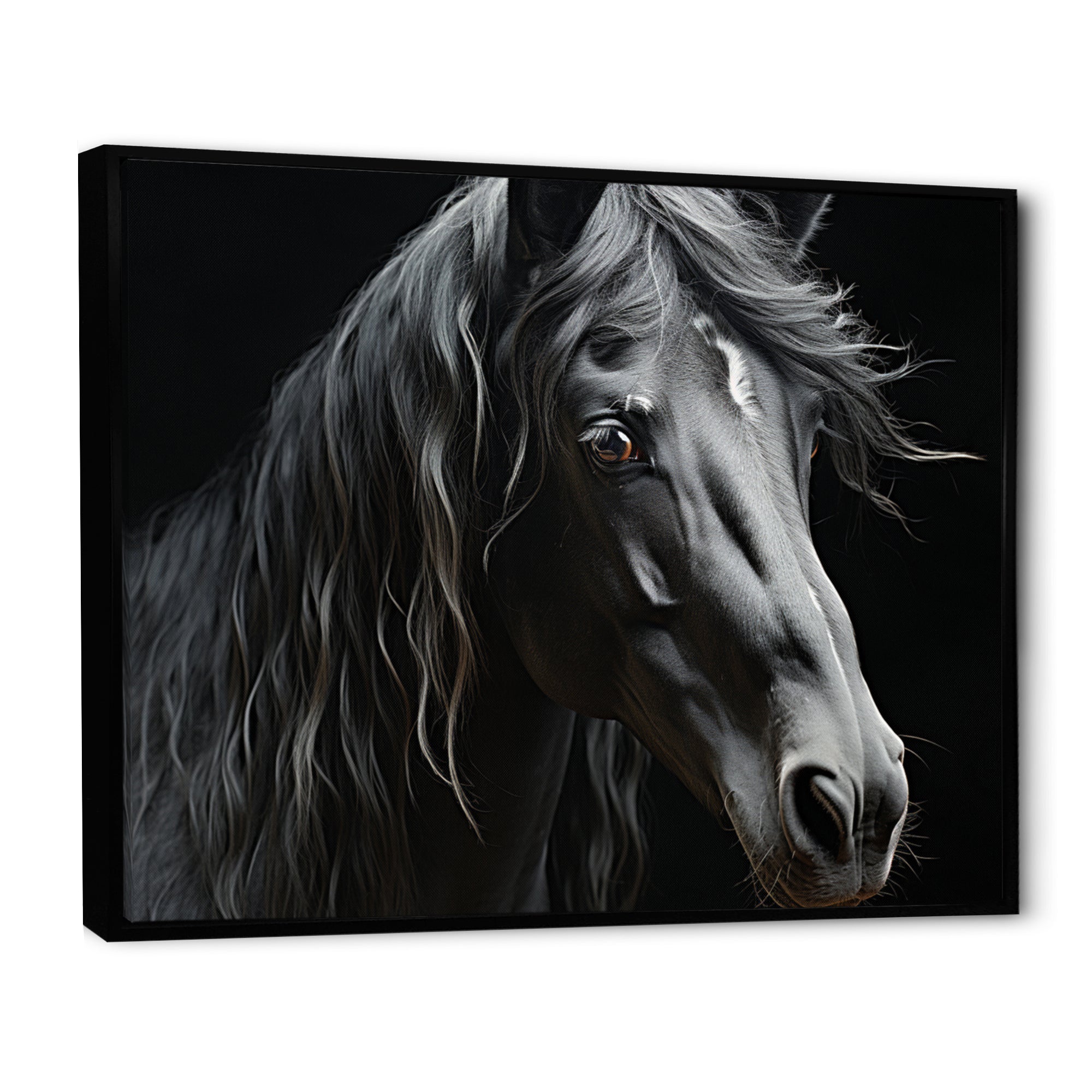 Black White Horse Portrait - Horse Canvas Wall Art
