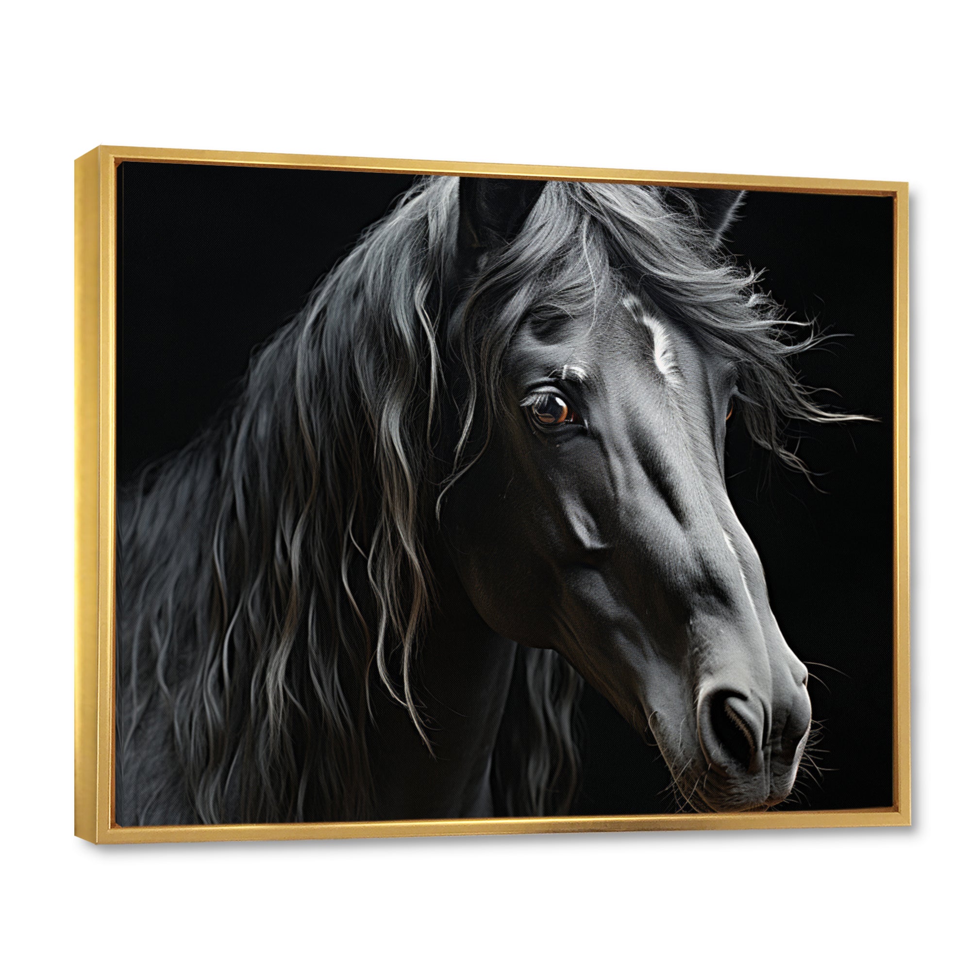Black White Horse Portrait - Horse Canvas Wall Art