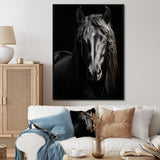 Black White Horse Portrait Vibrant - Horse Wall Decor