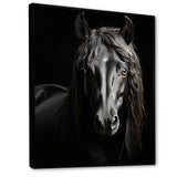 Black White Horse Portrait Vibrant - Horse Wall Decor