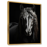 Black White Horse Portrait Vibrant - Horse Wall Decor