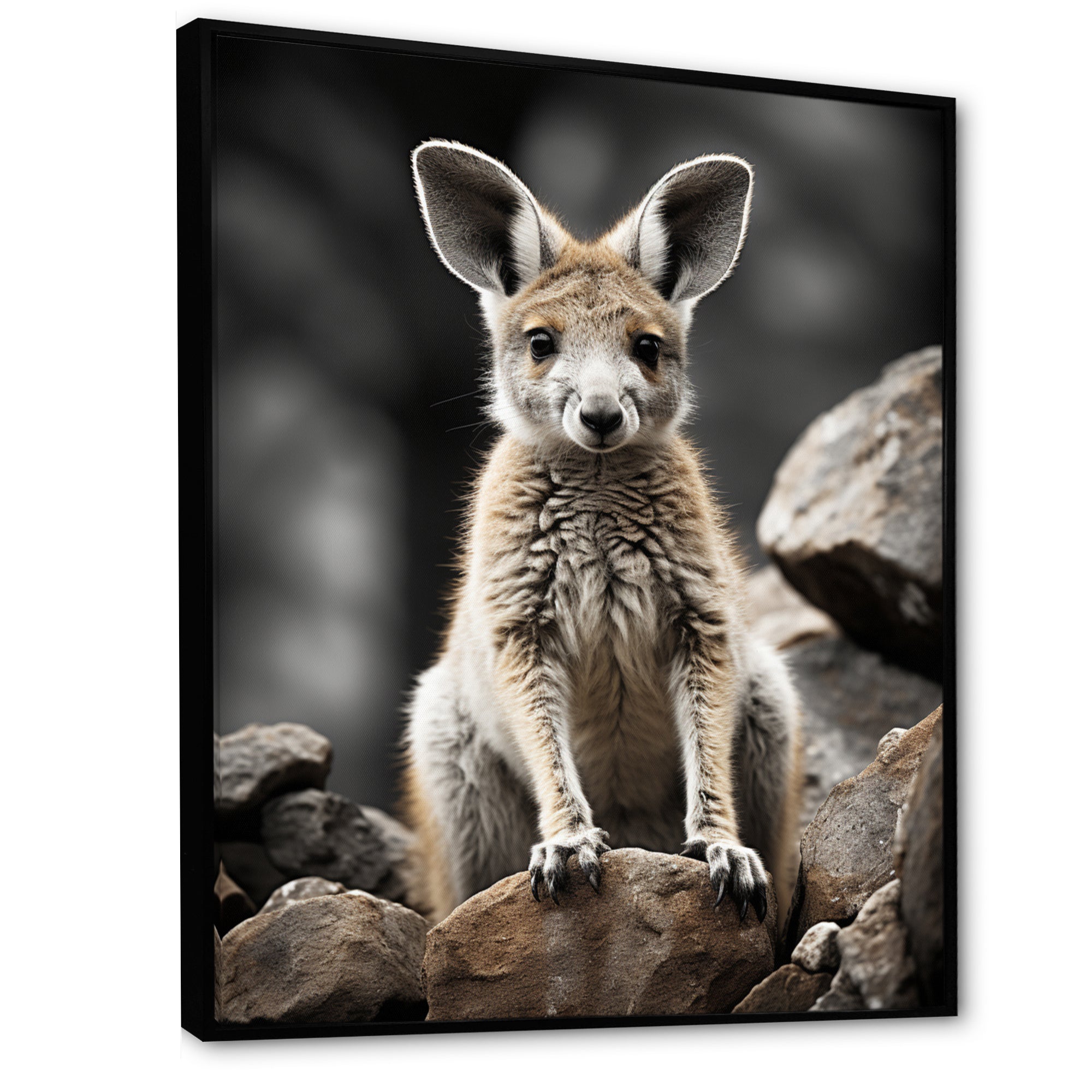 Kangaroo Bound - Kangaroo Home Decor Art