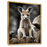 Kangaroo Bound - Kangaroo Home Decor Art