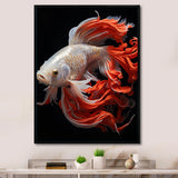 Coral Kois Fish Bold Contrasts - Koi's Fish Large Canvas Wall Art