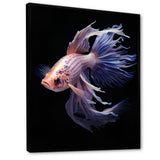 Purple Kois Fish Delicate Patterns - Koi's Fish Home Decor Art