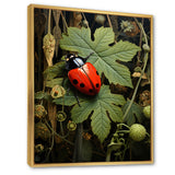 Ladybug Ladybugs Leisure - Red Ladybug Wall Art