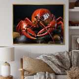 Coral Black Lobster Portrait - Lobster Home Decor Art