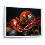 Coral Black Lobster Portrait - Lobster Home Decor Art
