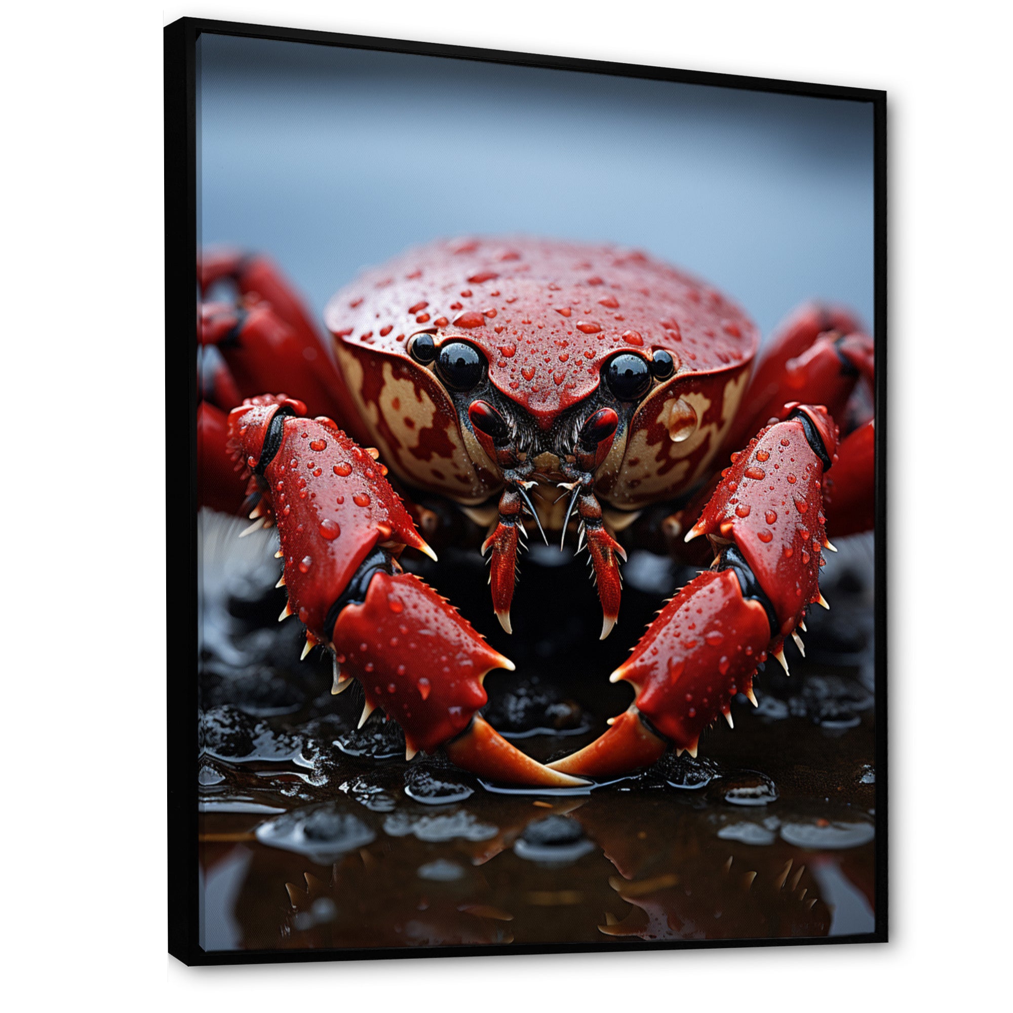 Coral Grey Lobster Portrait Vibrant - Lobster Living Room Wall Art
