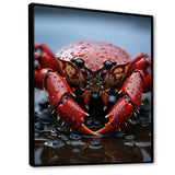 Coral Grey Lobster Portrait Vibrant - Lobster Living Room Wall Art