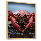 Coral Grey Lobster Portrait Vibrant - Lobster Living Room Wall Art