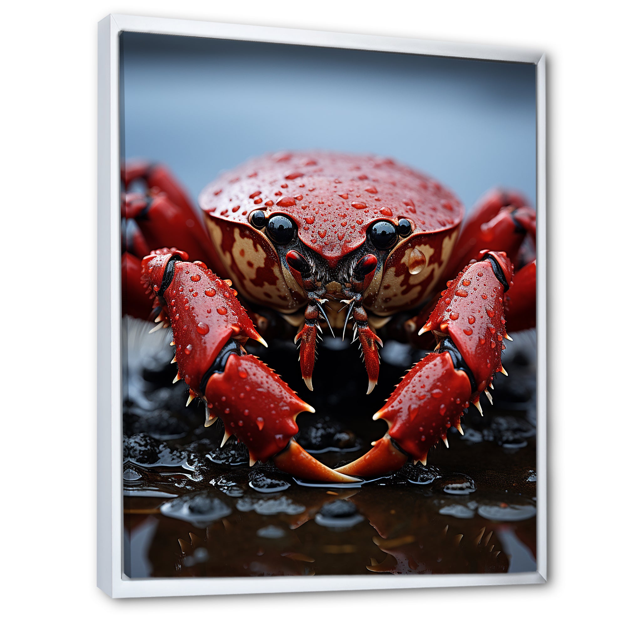 Coral Grey Lobster Portrait Vibrant - Lobster Living Room Wall Art