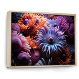 Purple Coral Marine Animals Harmony - Marine Animals Framed Canvas Art