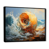 Nautilus Sheels Elegance - Nautilus Wall Decor
